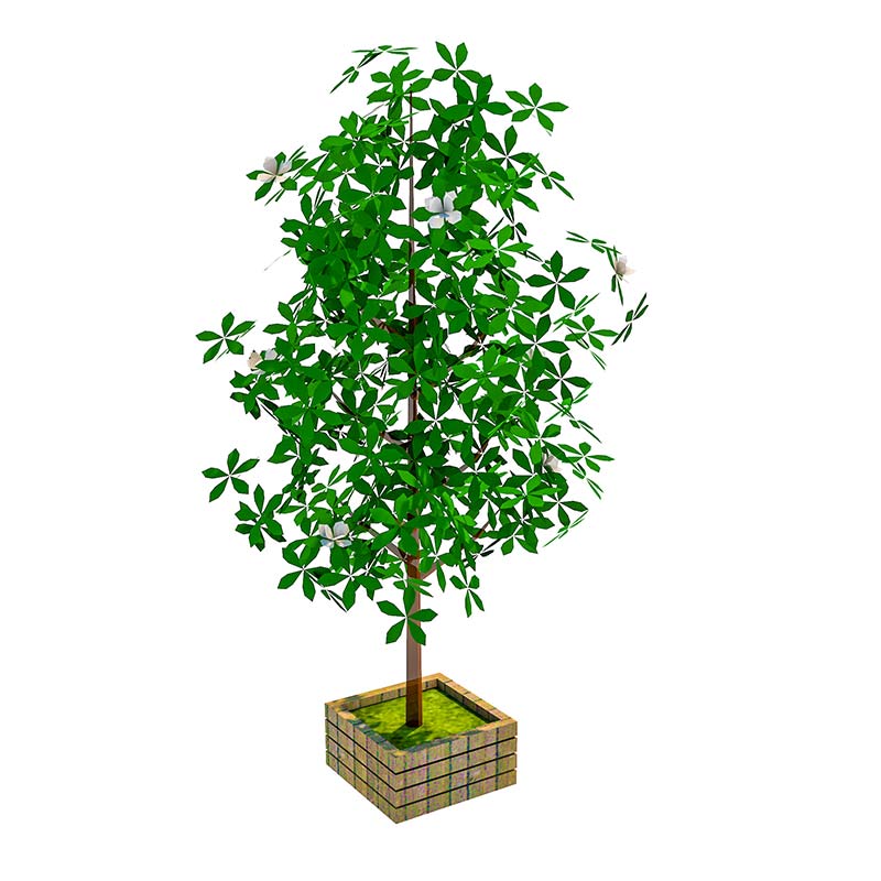 千库网_室外植物_模板编号4961197