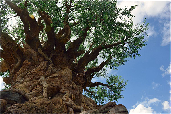 沈阳仿真植物如果不加抗老化剂会怎样？